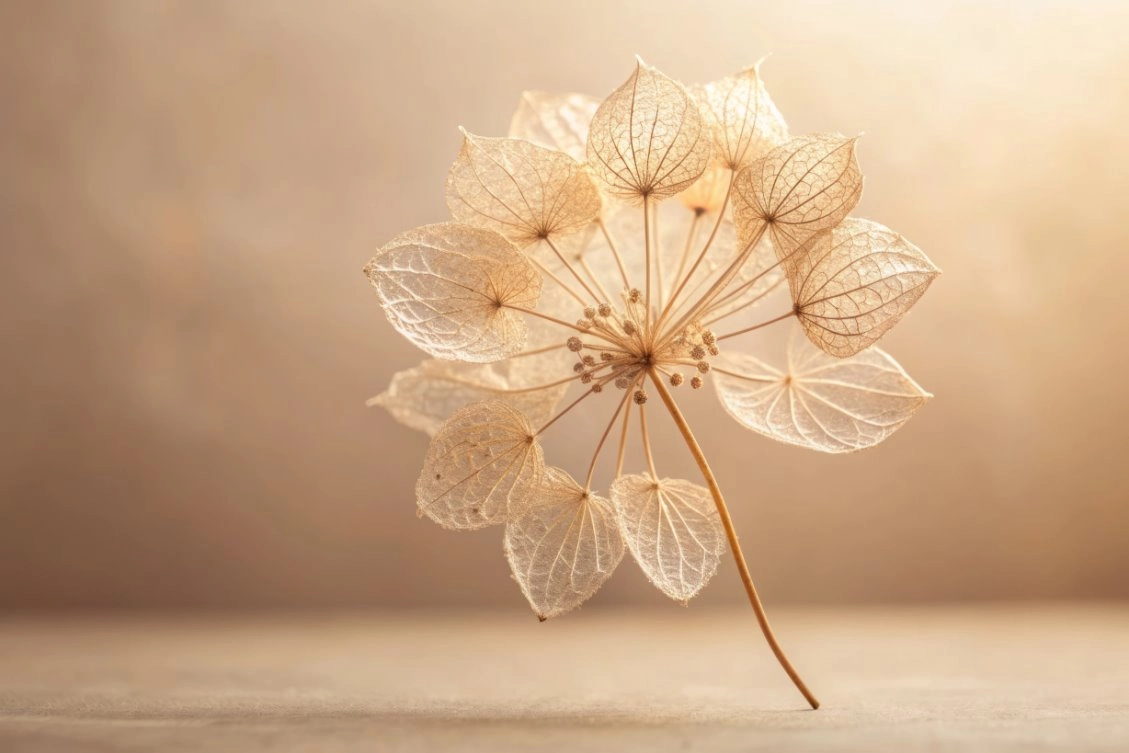 Fragen und Antworten