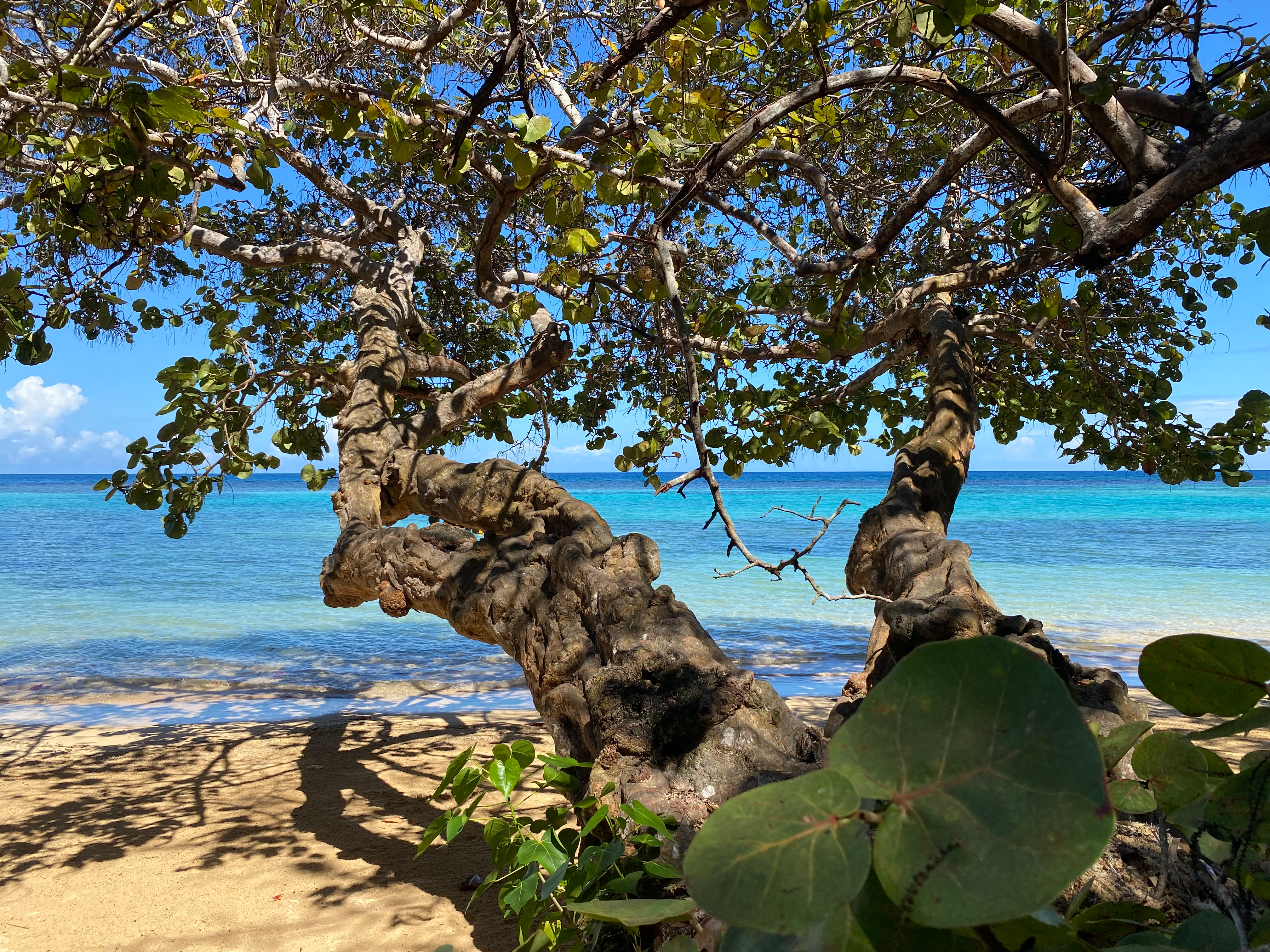 Jamaika - Dunn´s River Beach 