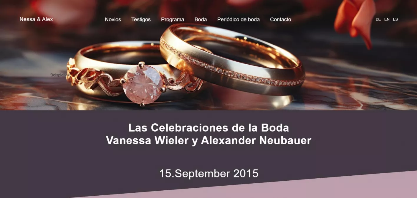 Boda Nessa & Alex
