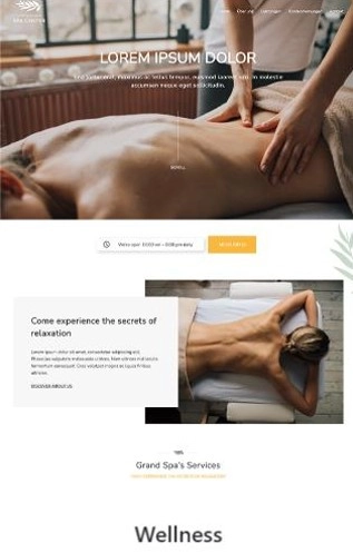 Wellness Wellness