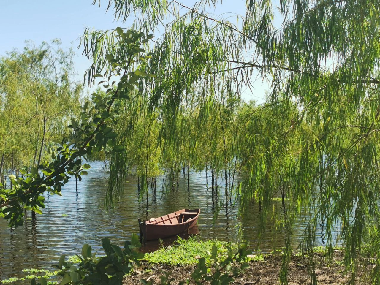 am Flußufer