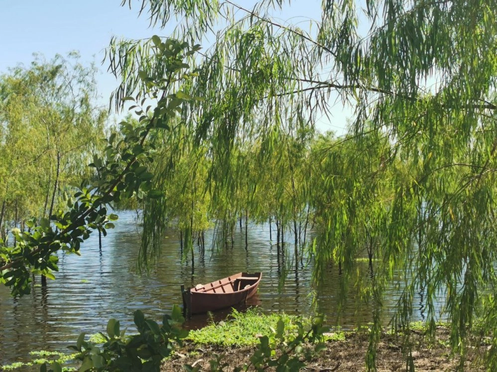 am Flußufer
