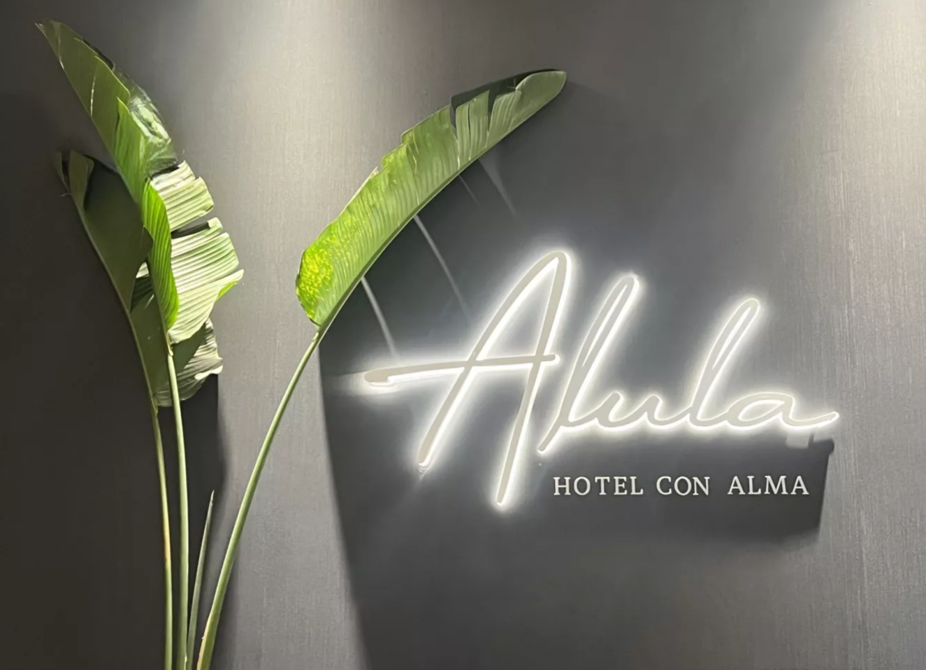 Alula Hotel con Alma