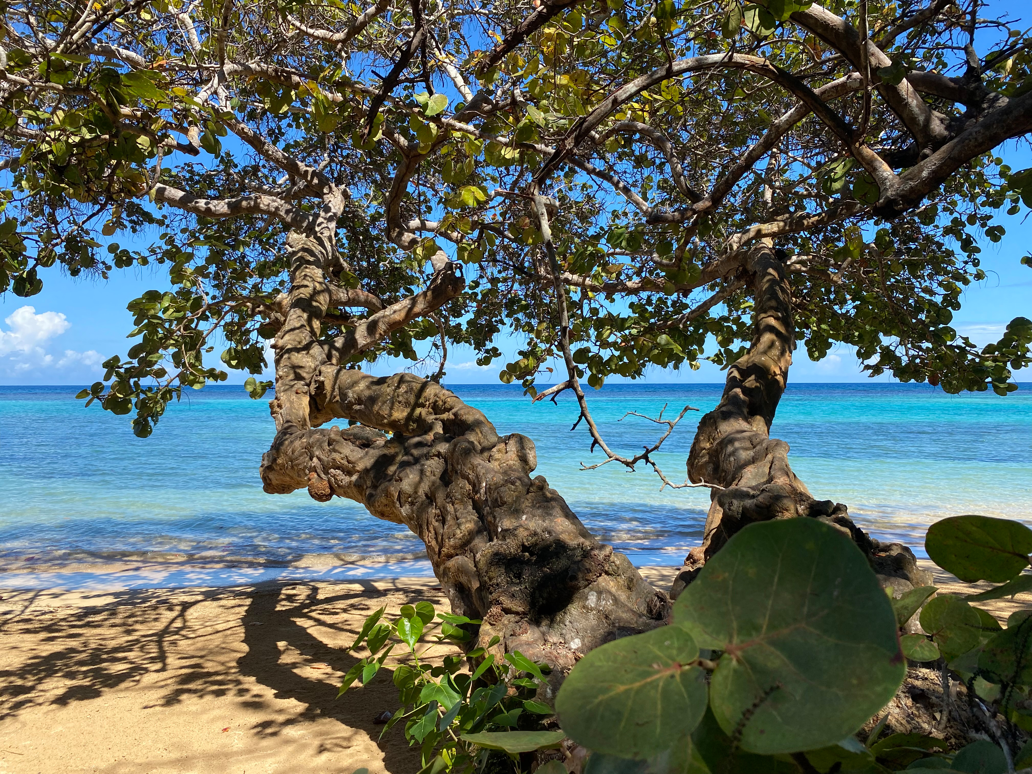 Dunn´s River Beach - Jamaika